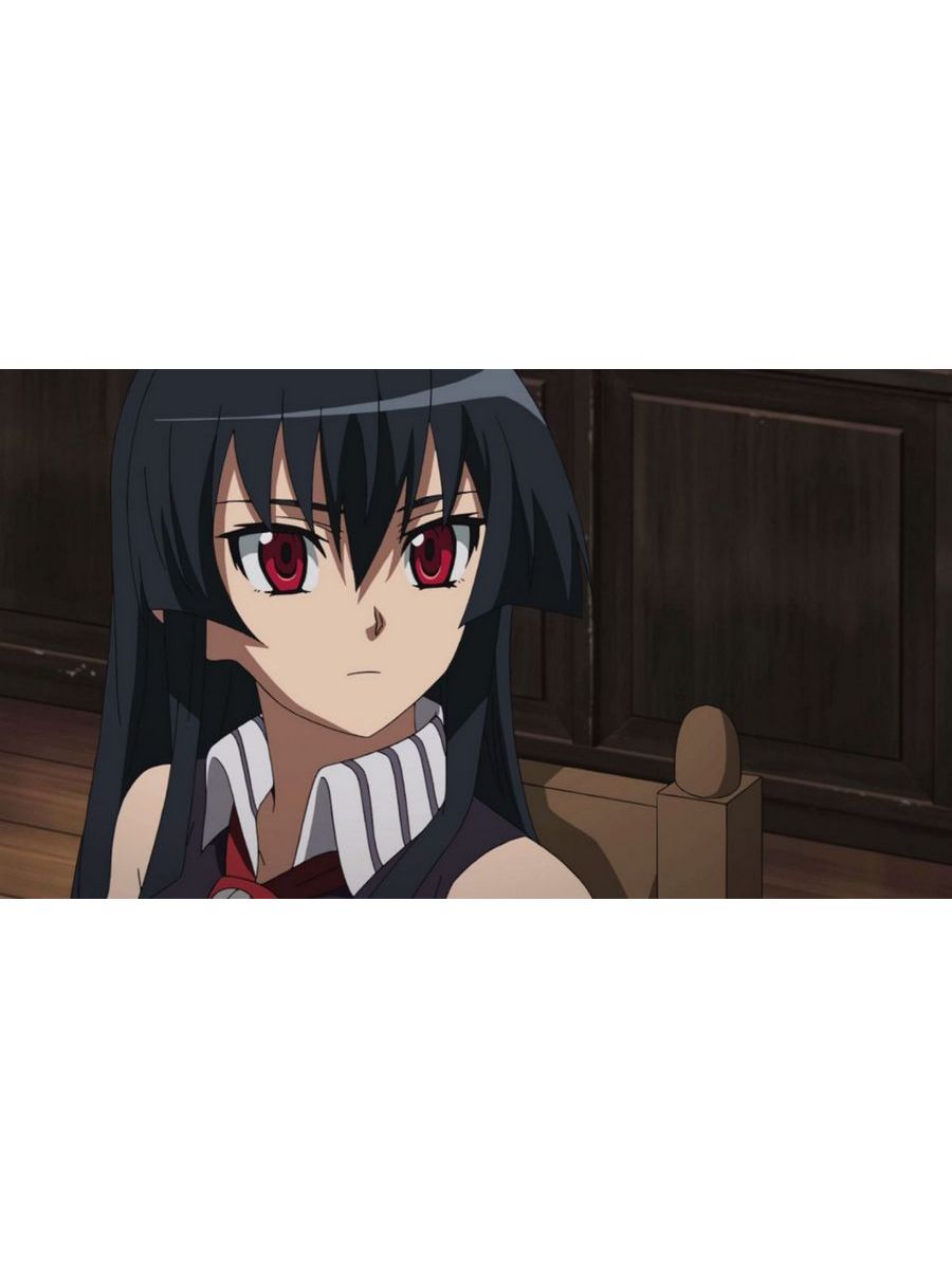 

Постер DRABS A2 Akame ga Kill акаме