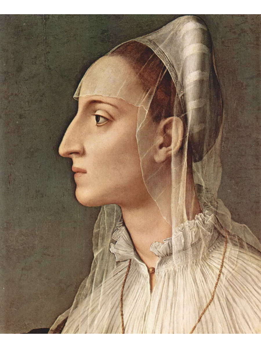 

Постер DRABS A2 Анджело ди Козимо Портрет Лауры Баттифери.