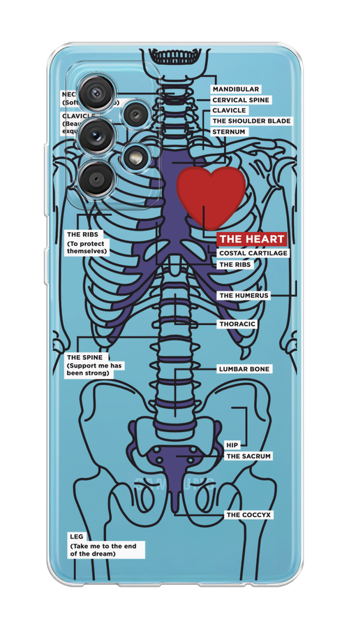 

Чехол на Samsung Galaxy A52/A52s "Скелет человека", Прозрачный;синий;красный, 2106550-1