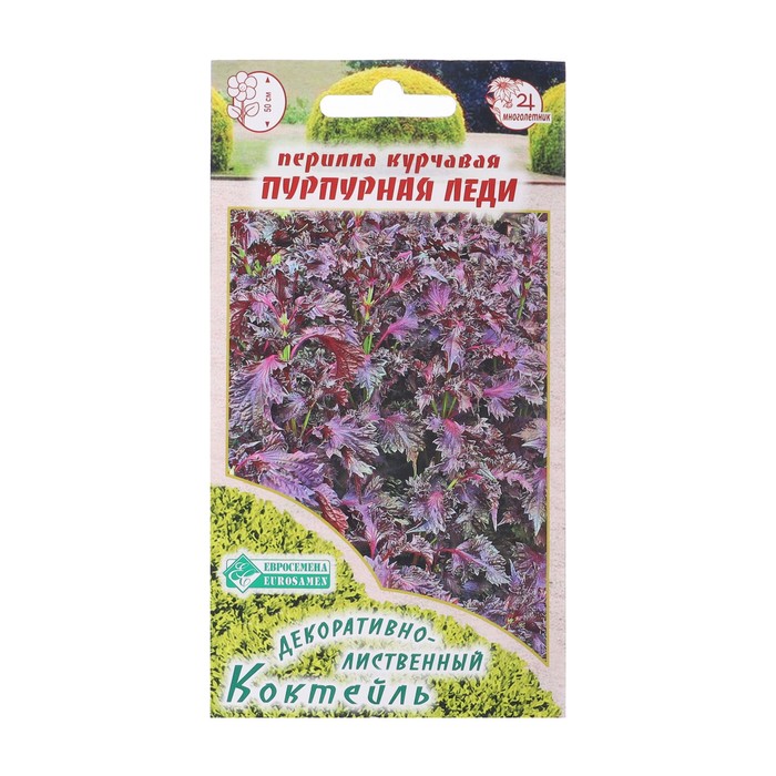 

Семена Перилла курчавая "Пурпурная Леди", 0 ,1 г (2 шт.)
