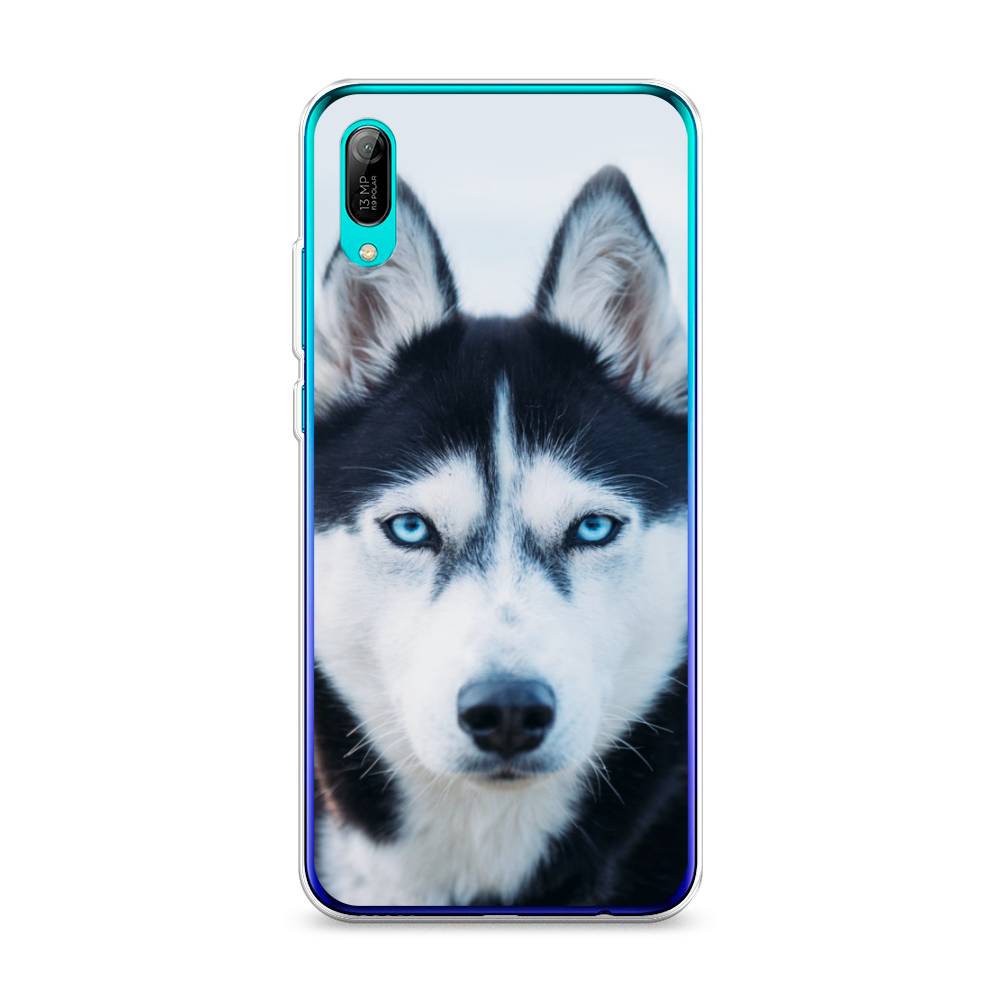 

Чехол на Huawei Y6 Pro 2019 "Хаски 2", Синий;белый, 68150-1