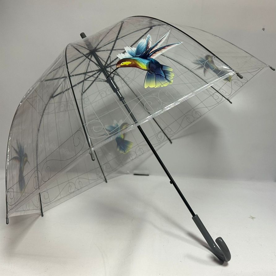 Зонт женский Galaxy of Umbrellas С-534 прозрачный