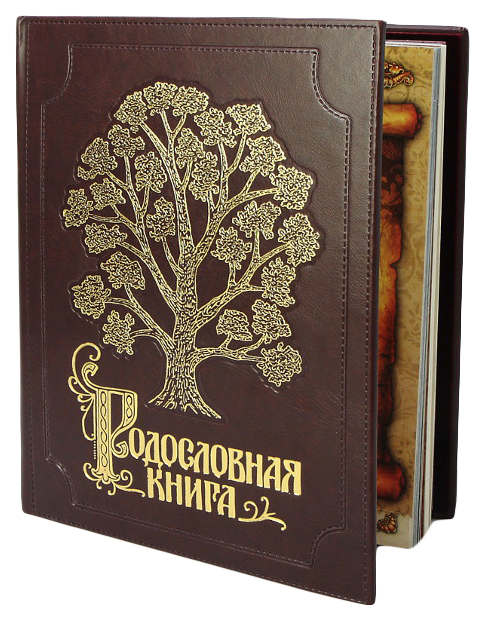 

Альбом Родословная Книга Изысканная обложка из экокожи с золочением KSVA-PM-004-ЭК