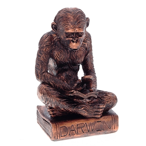 

Фигурка декоративная Обезьяна. Дневник прадеда, L14 W13 H21,5 см KSMR-626314/Z027
