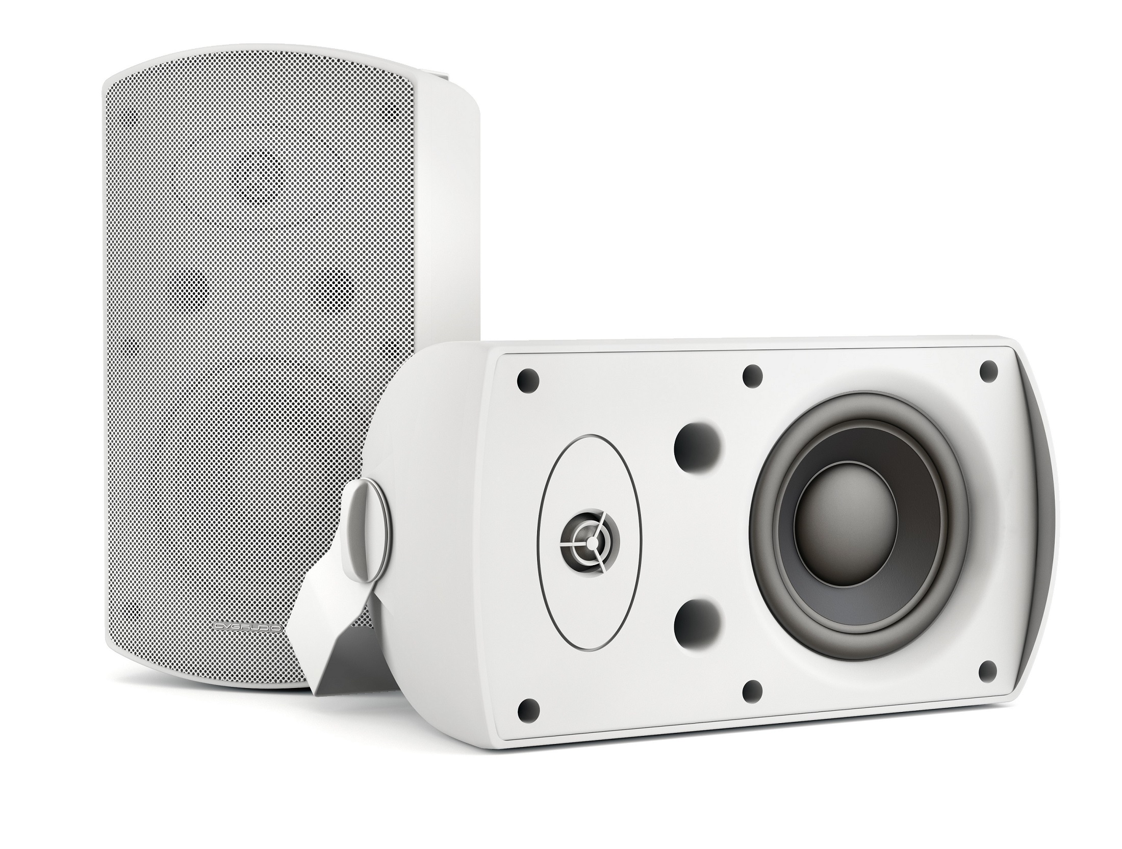 

Пассивная акустика CVGaudio RF616TW White, RF616TW