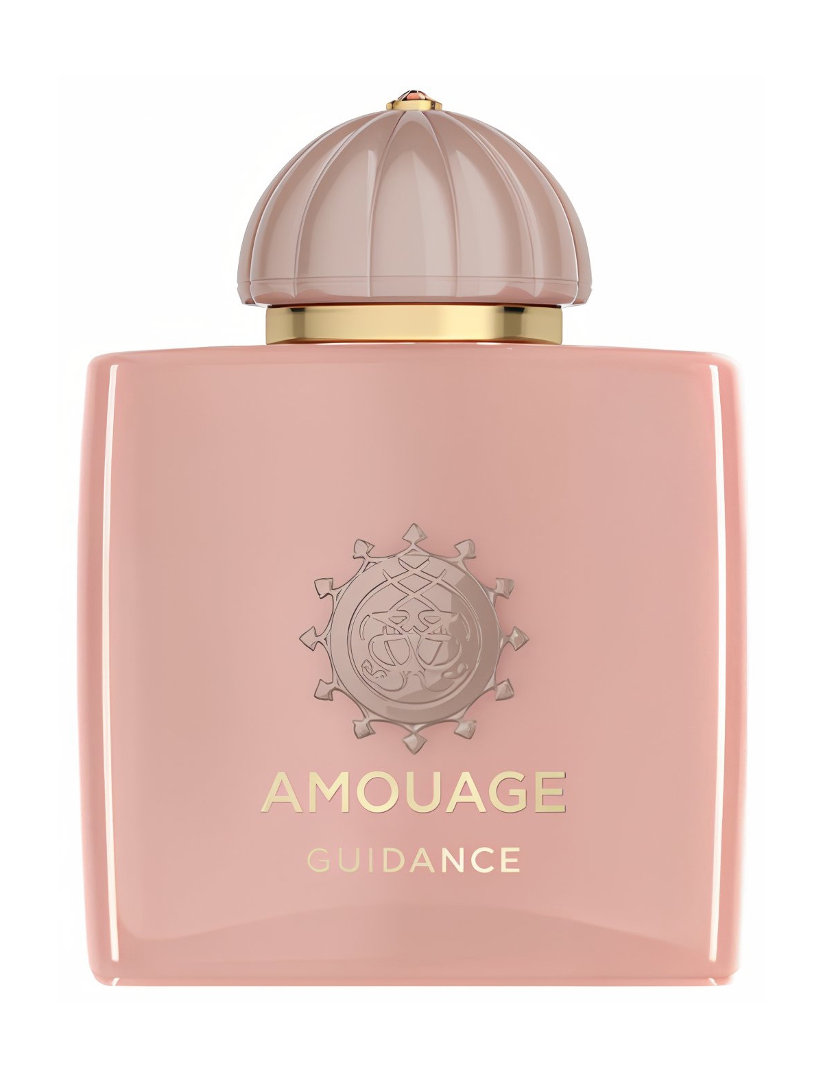 парфюмерная вода amouage guidance edp 100 мл Парфюмерная вода Amouage Guidance EDP 100 мл