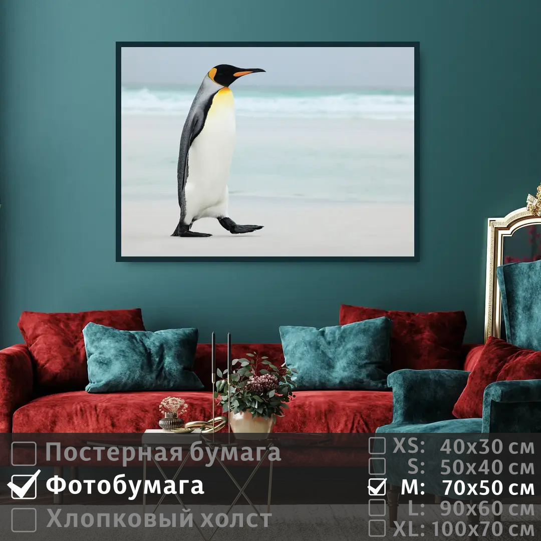 

Постер на фотобумаге ПолиЦентр Пингвин на берегу моря 70х50 см, ПингвинНаБерегуМоря