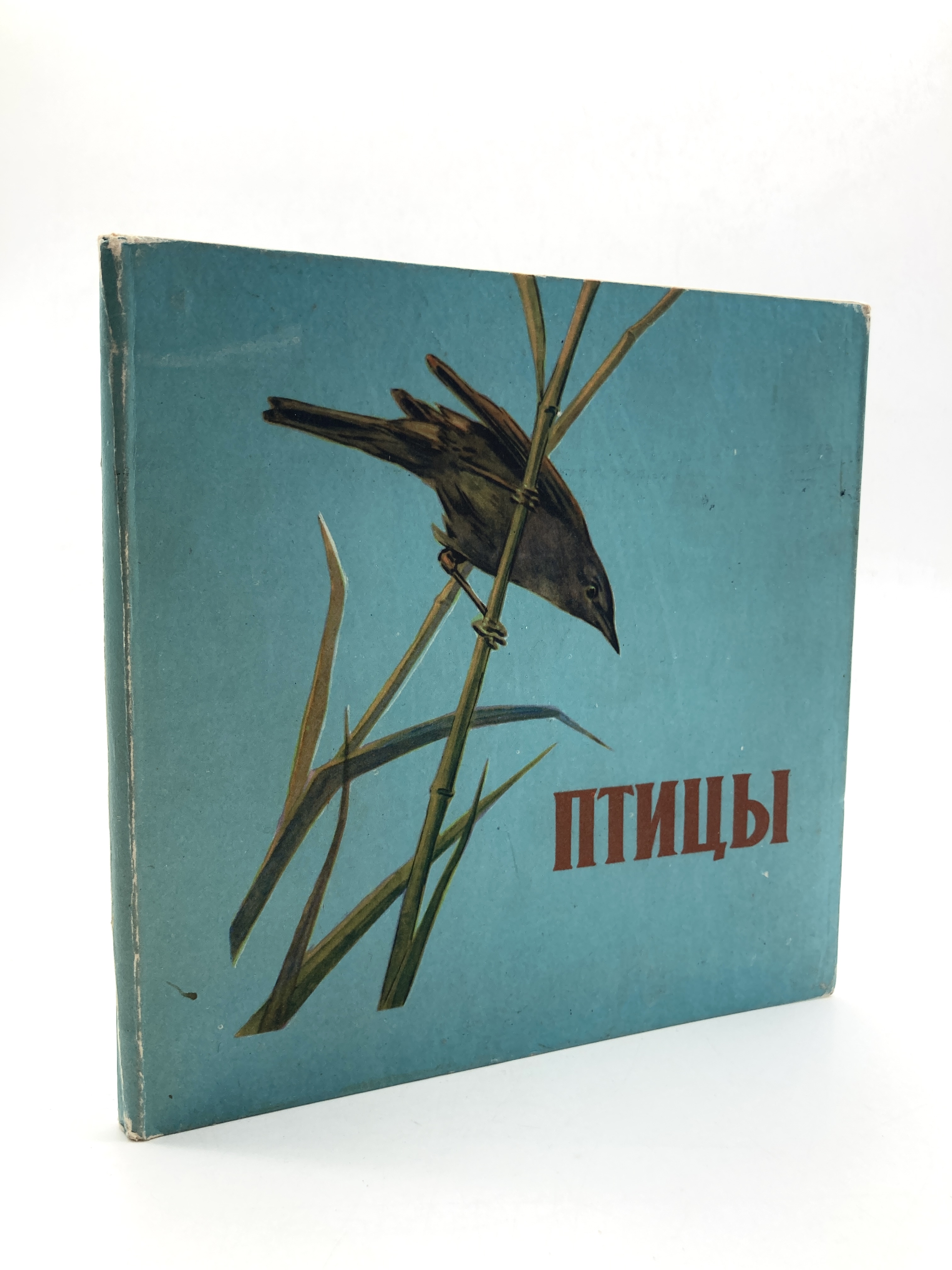 

Птицы