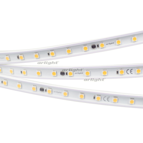 

Светодиодная лента Arlight 029400(2) 10м белый