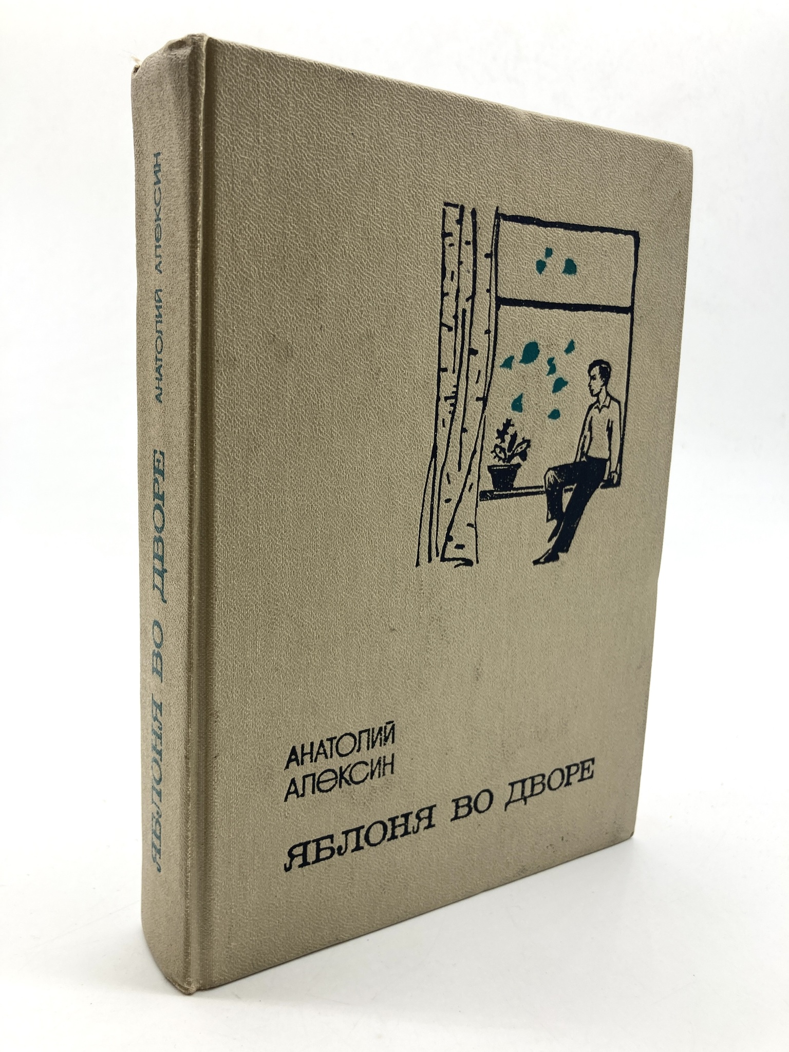 

Книга Яблоня во дворе