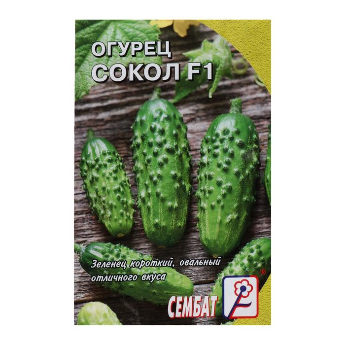 

Семена огурец Сокол F1 Сембат 4672610-6p 1 уп.