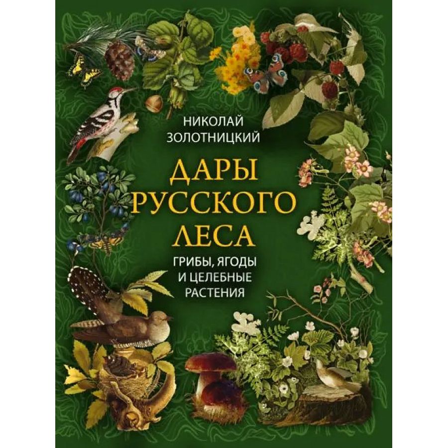 

Дары русского леса. Грибы, ягоды и целительные растения