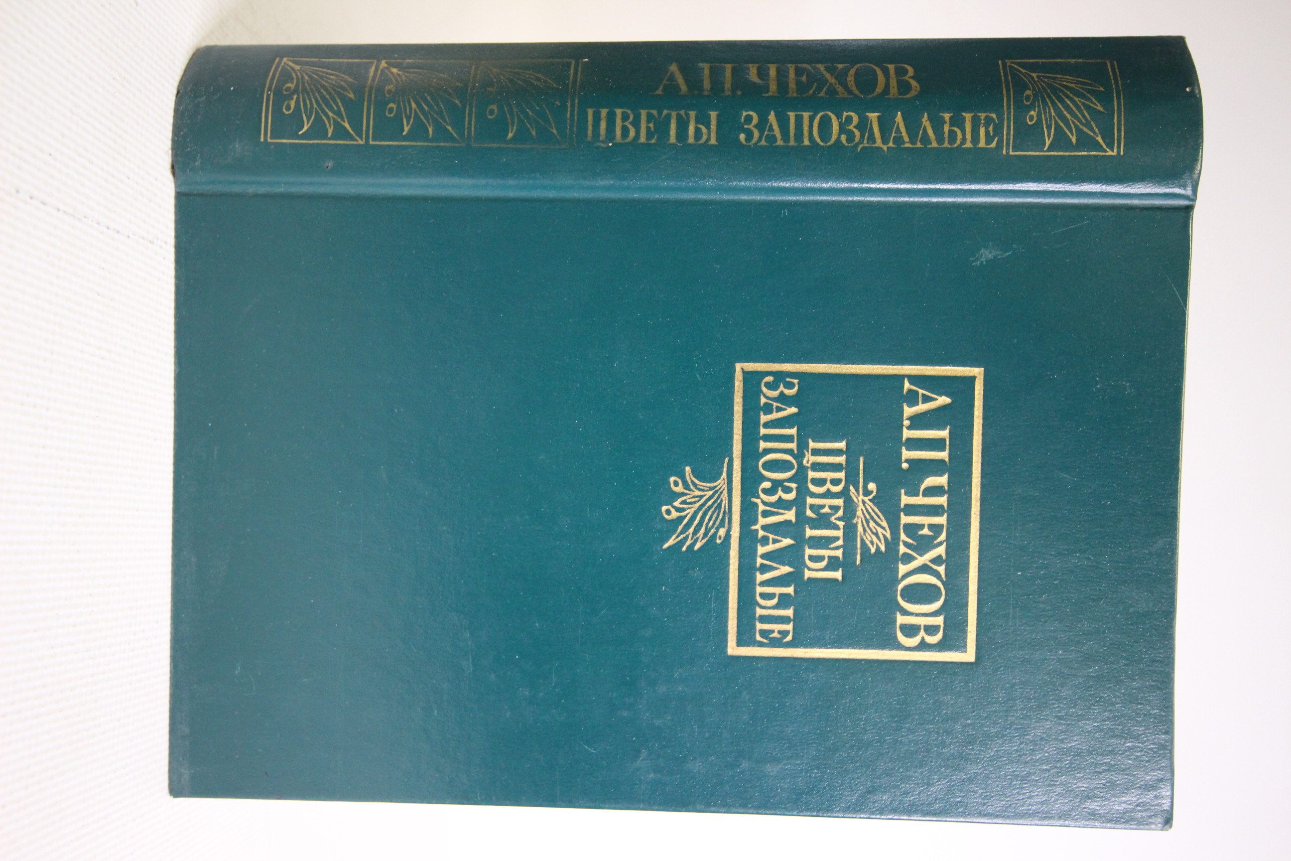 

Цветы запоздалые