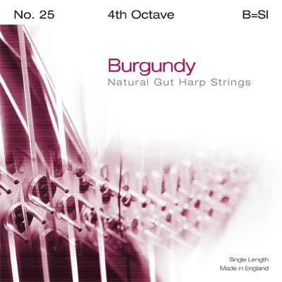 

Струна B4 для арфы Bow Brand Pedal Burgundy PB-25B4