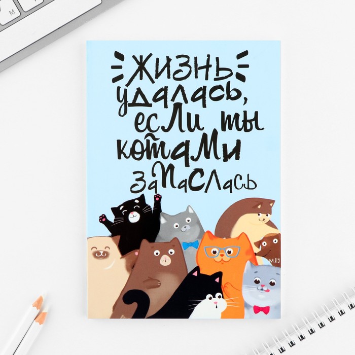 

Ежедневник А5, 80 л. Тонкая обложка Много котов