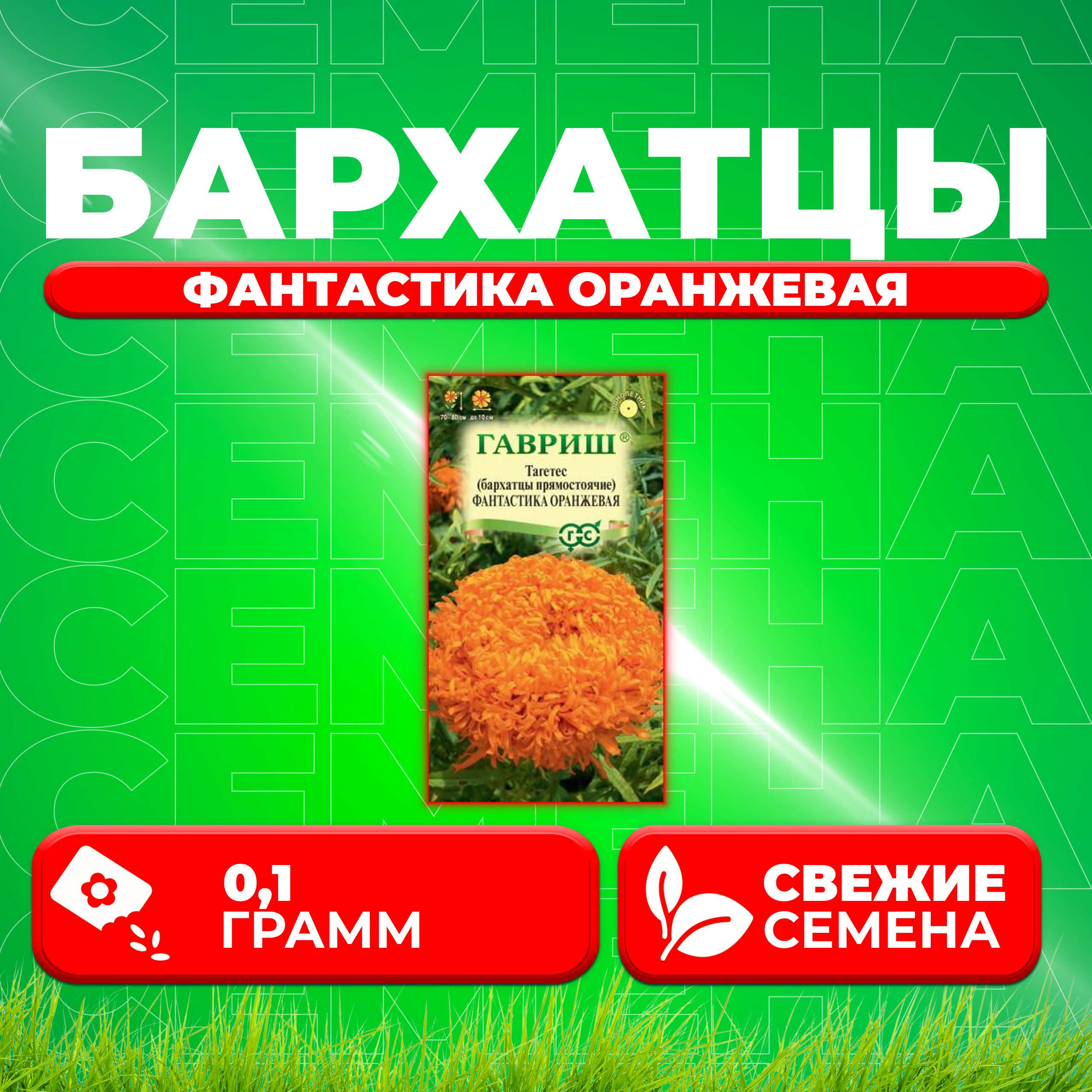 

Семена Бархатцы прямостоячие тагетес Фантастика оранжевая, 0,1г, Гавриш 1 уп