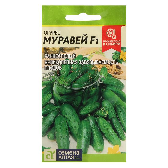 

Семена огурец Муравей F1 Семена Алтая 6244421 1 уп.