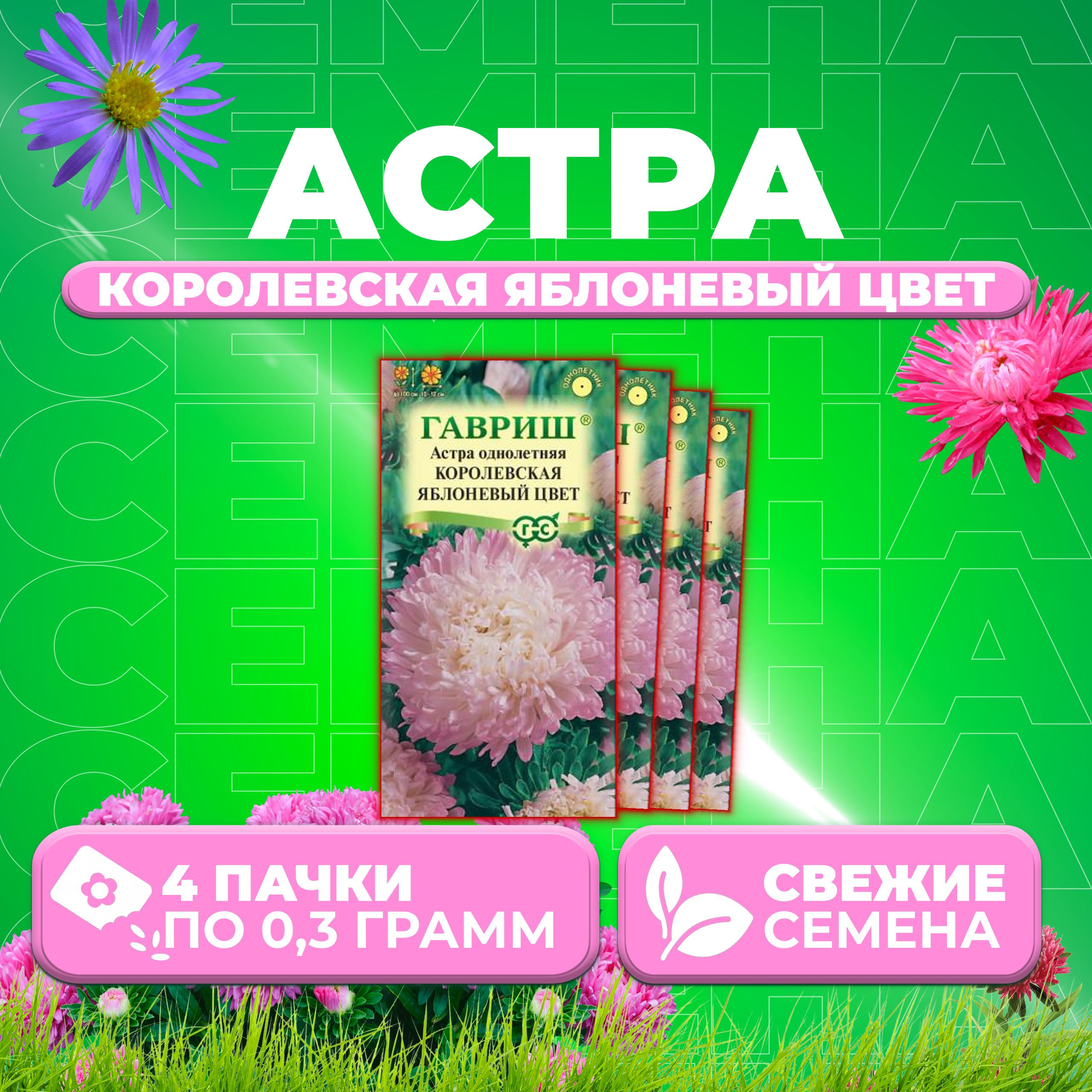 

Семена Астра Королевская яблоневый цвет, пионовидная, 0,3г, Гавриш 4 уп