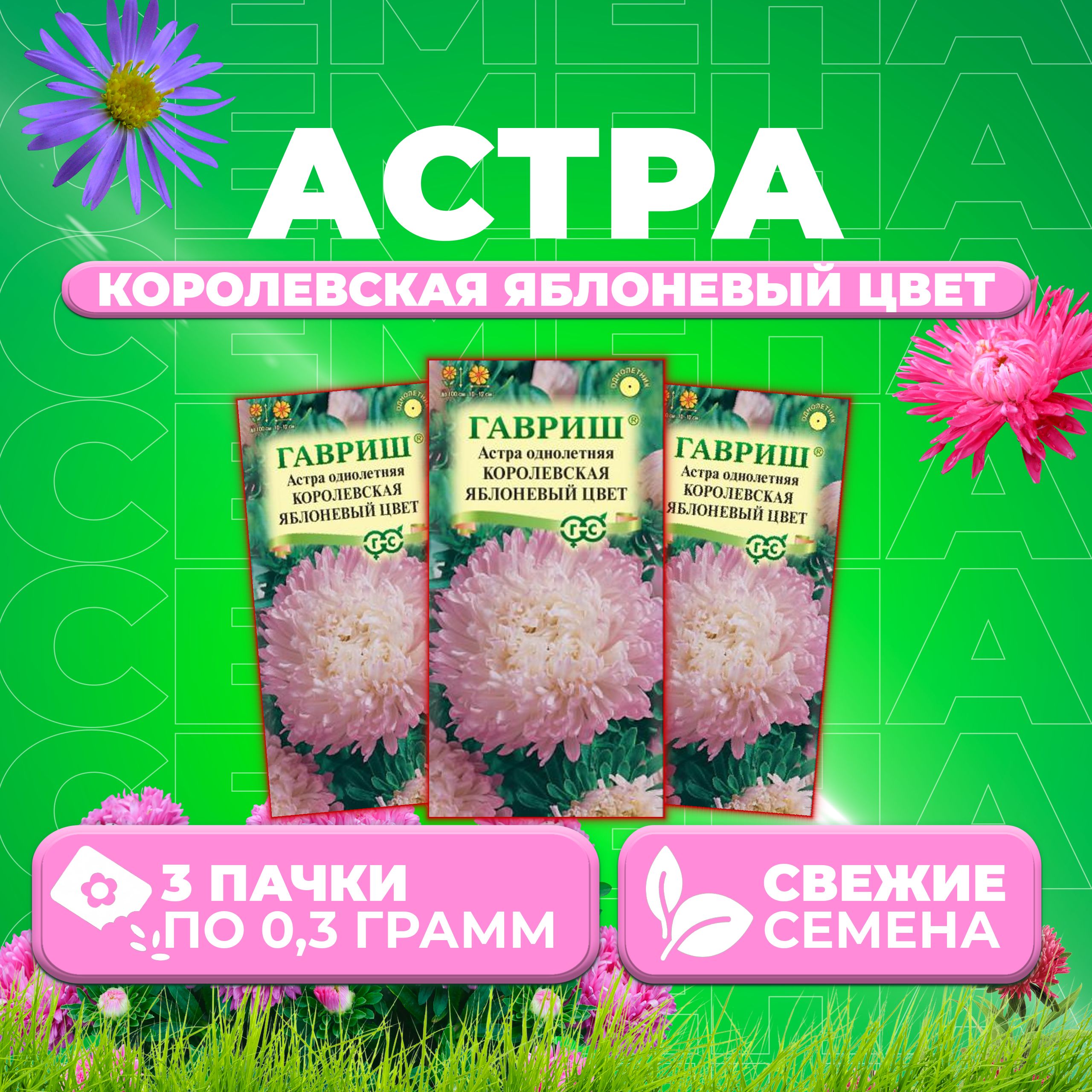 

Семена Астра Королевская яблоневый цвет, пионовидная, 0,3г, Гавриш 3 уп