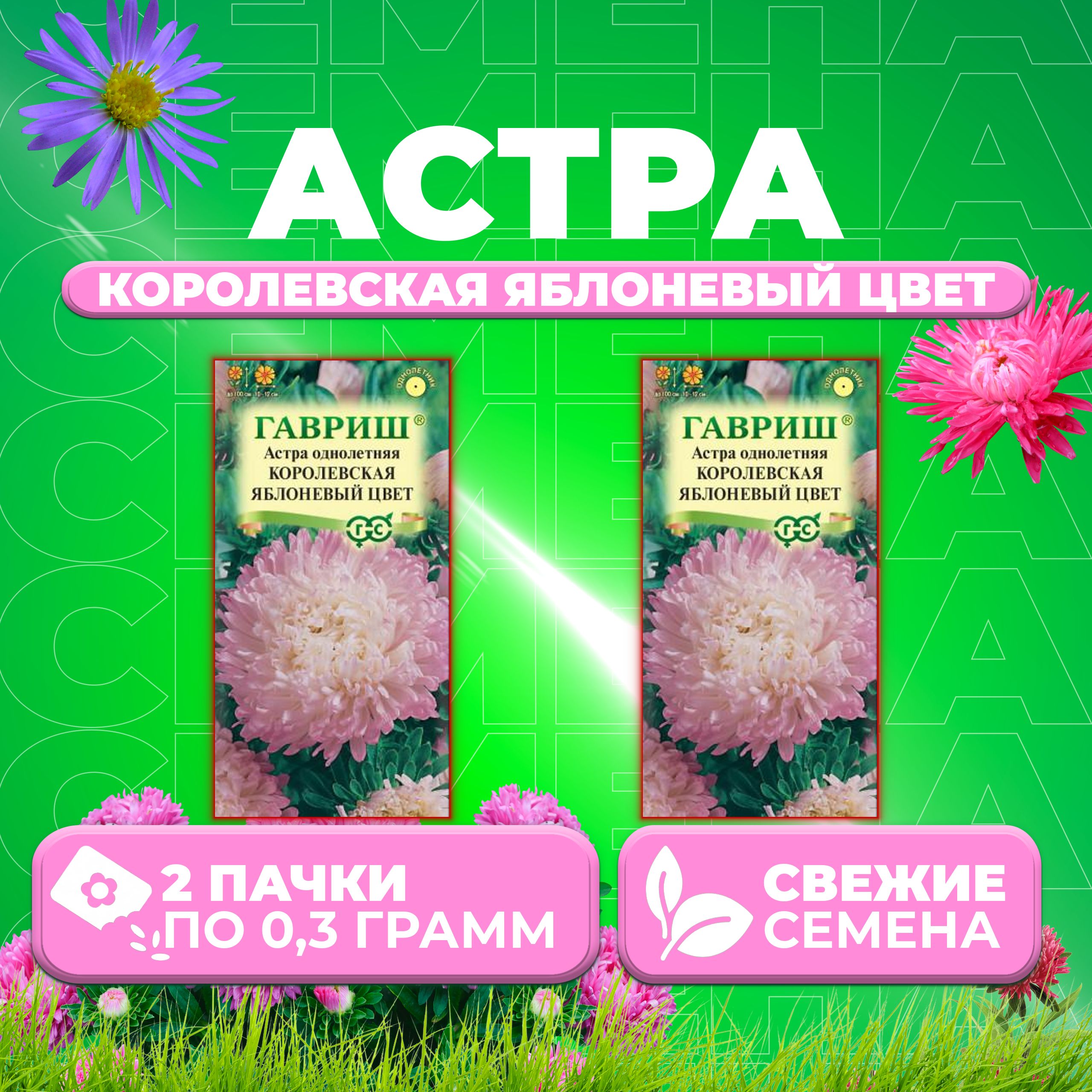 

Семена Астра Королевская яблоневый цвет, пионовидная, 0,3г, Гавриш 2 уп