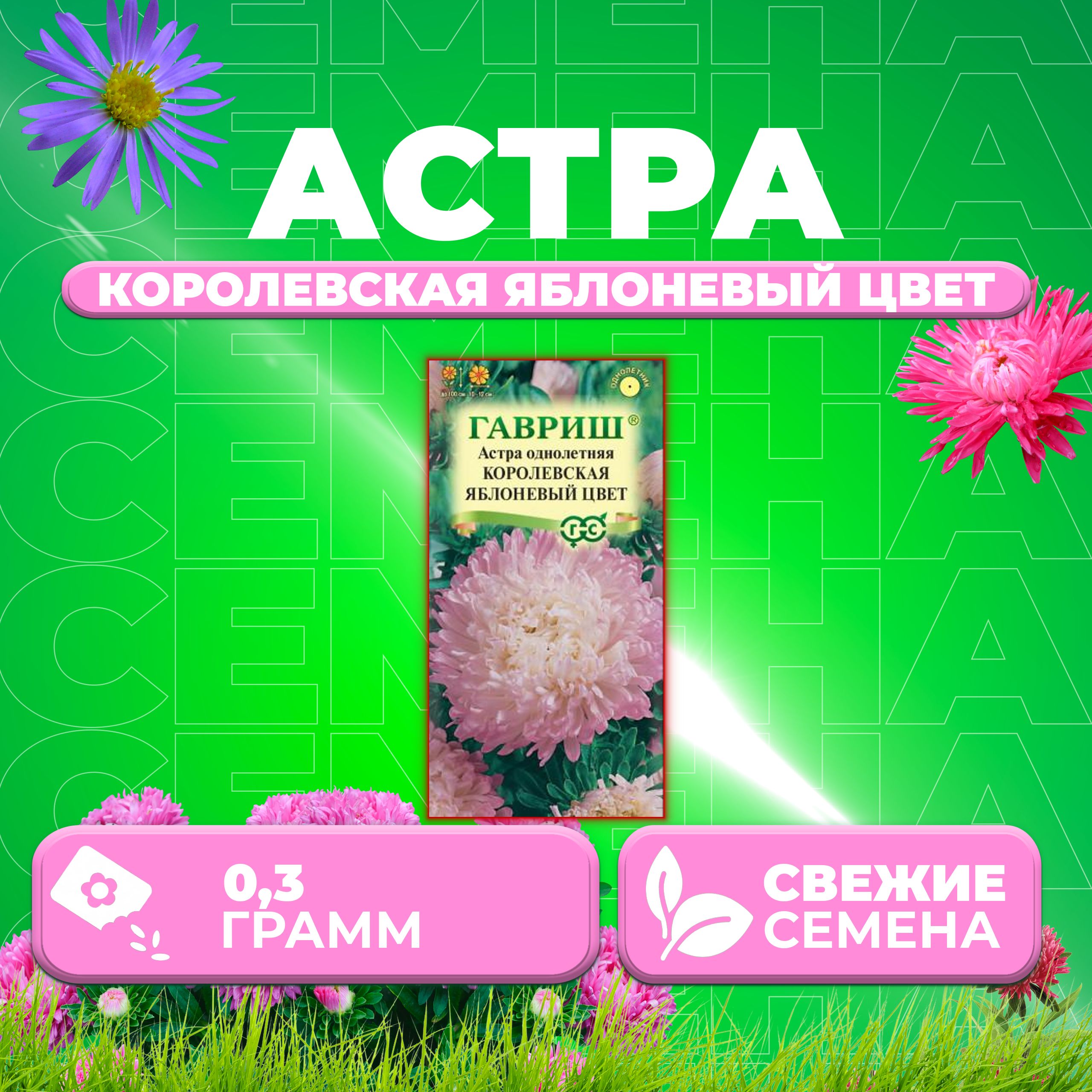 

Семена Астра Королевская яблоневый цвет, пионовидная, 0,3г, Гавриш 1 уп