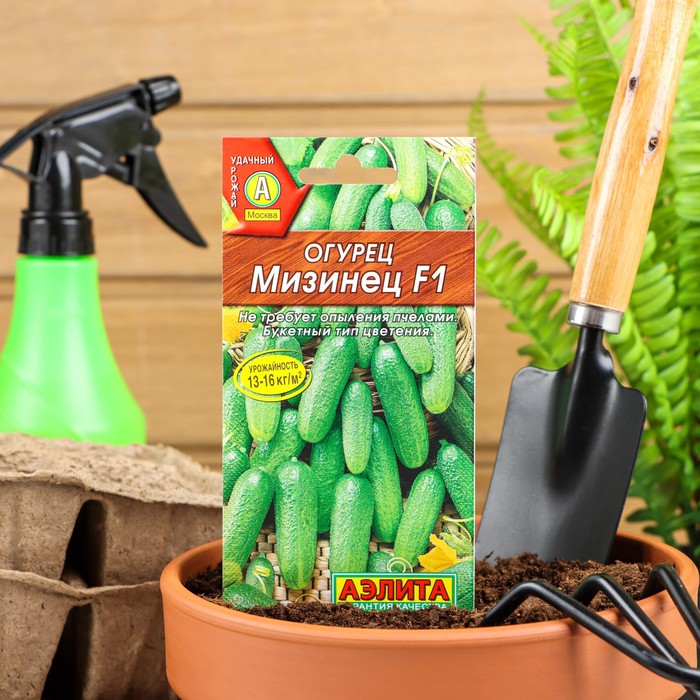 

Семена огурец Мизинец F1 Аэлита 3975851 1 уп.