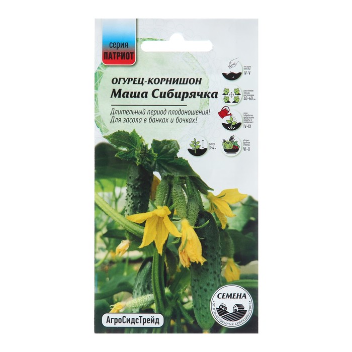 

Семена огурец Маша Сибирячка F1 АгроСидсТрейд 10268543 1 уп.
