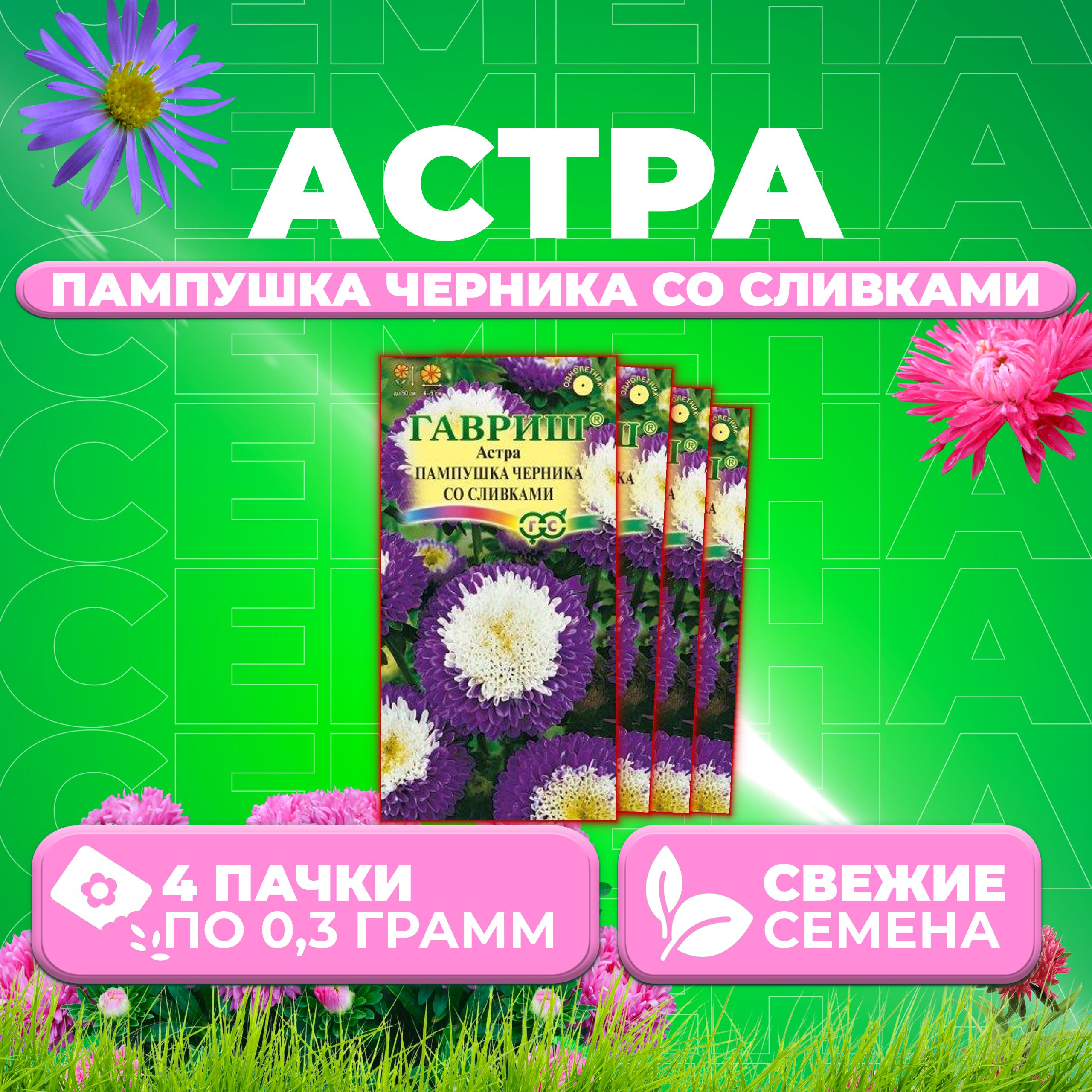 

Семена Астра Пампушка черника со сливками, помпонная, 0,3г, Гавриш 4 уп