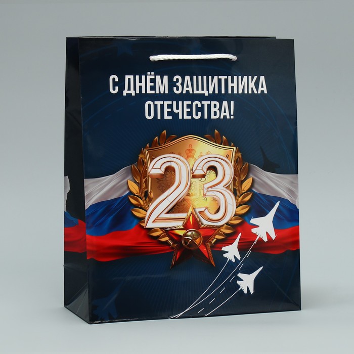 

Доступные Радости Пакет ламинированный Защитник Отечества, ML 21 х 25 х 8 см, Синий