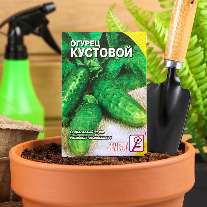 

Семена огурец Кустовой Сембат 4030976-6p 1 уп.