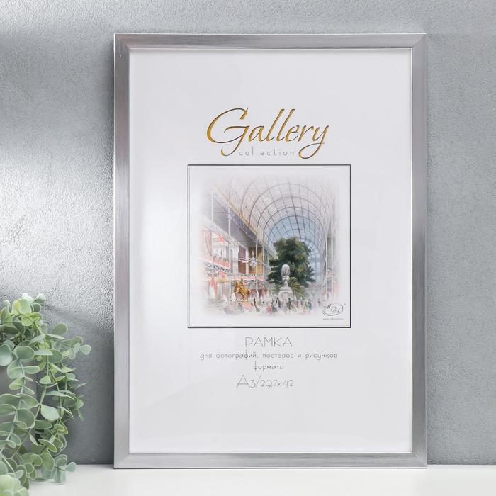 

Фоторамка пластик Gallery 29,7х42 см, 641822, серебро(пластиковый экран), Серебристый
