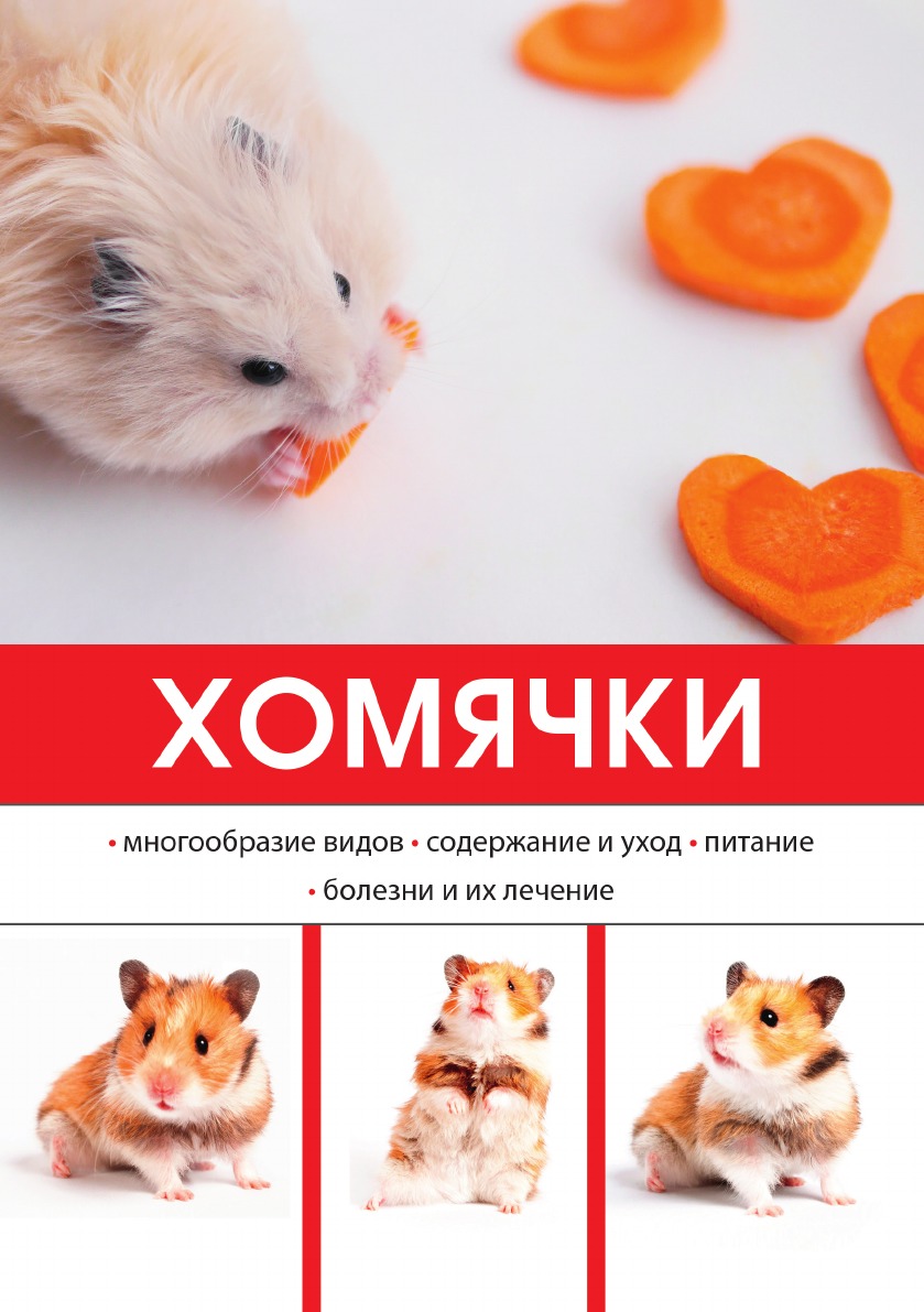 

Хомячки