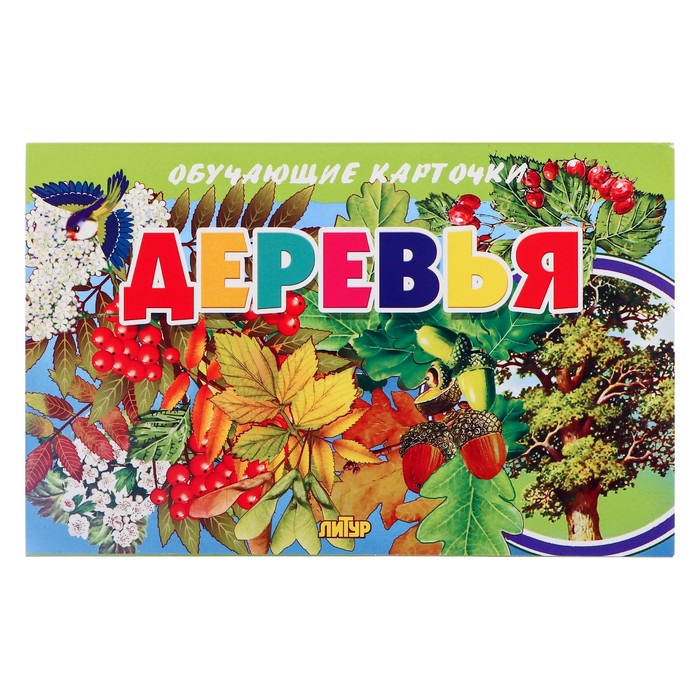 

Обучающие карточки Литур Деревья 10372069