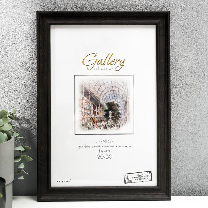 

Фоторамка пластик Gallery 20х30 см, 642446 коричневый (пластиковый экран)