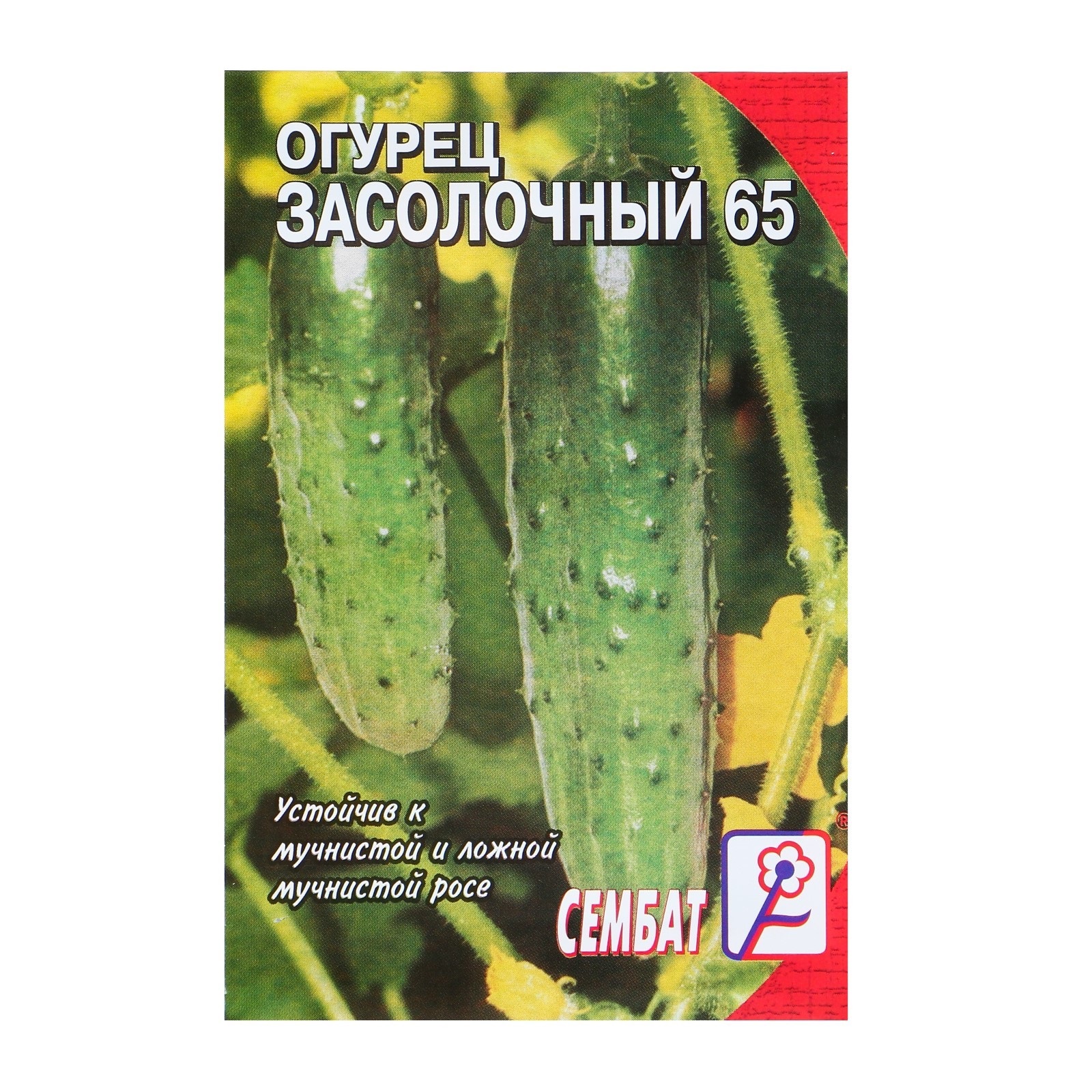 

Семена огурец Засолочный Сембат 4662705 1 уп.
