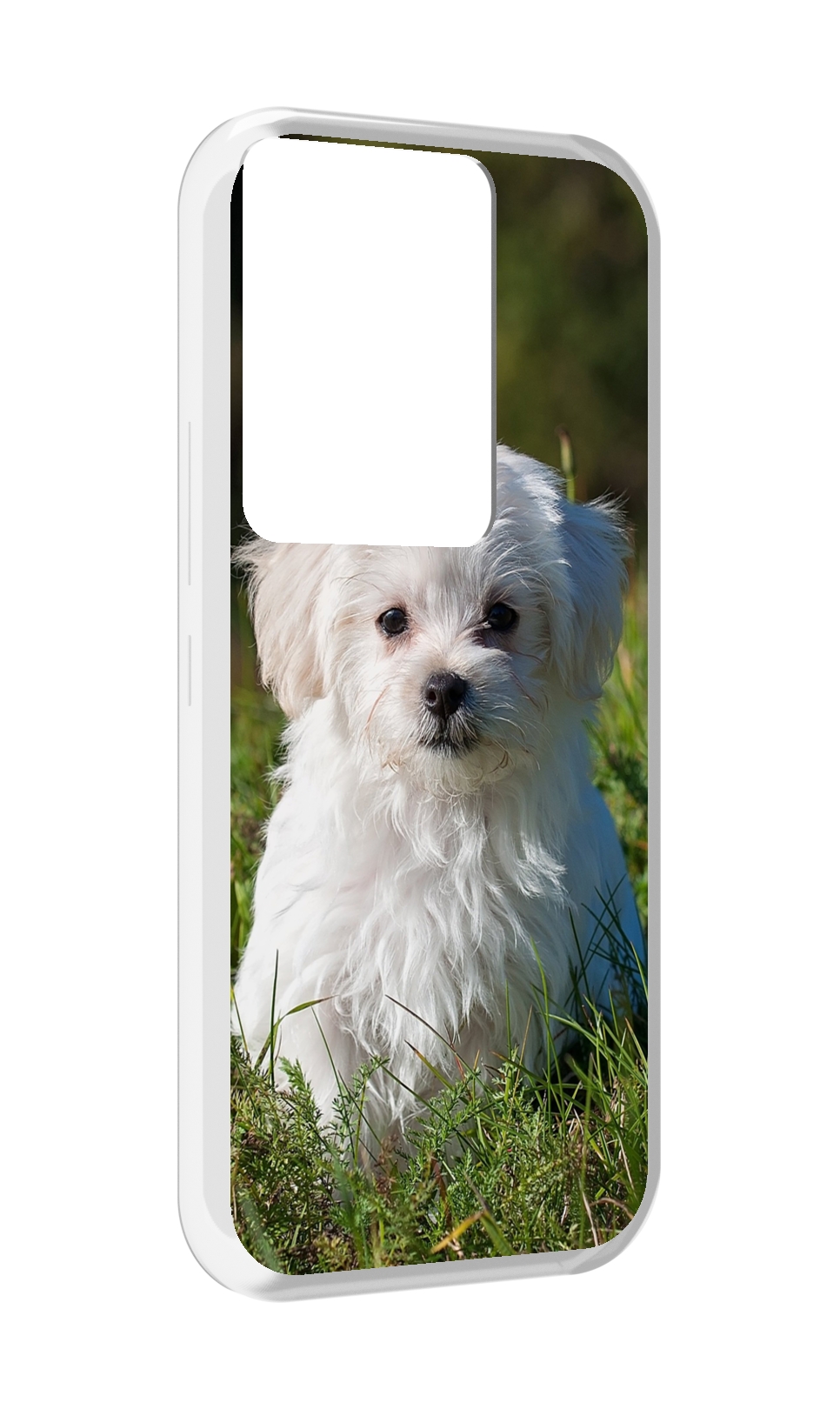 

Чехол MyPads мальтииская-болонка для Itel Vision 3 Plus / Itel P38 Pro, Прозрачный, Tocco