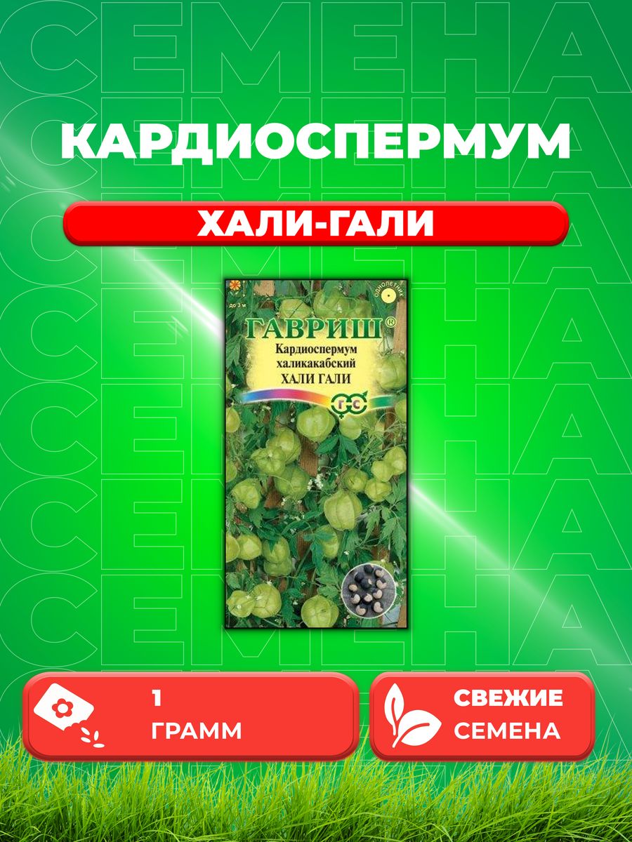 

Семена Кардиоспермум халикакабский Хали-Гали, 1,0г, Гавриш