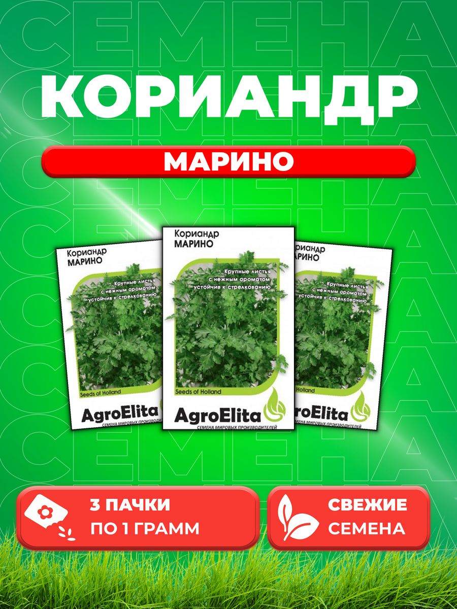 

Семена Кориандр Марино, 1,0г, AgroElita, Enza Zaden3уп