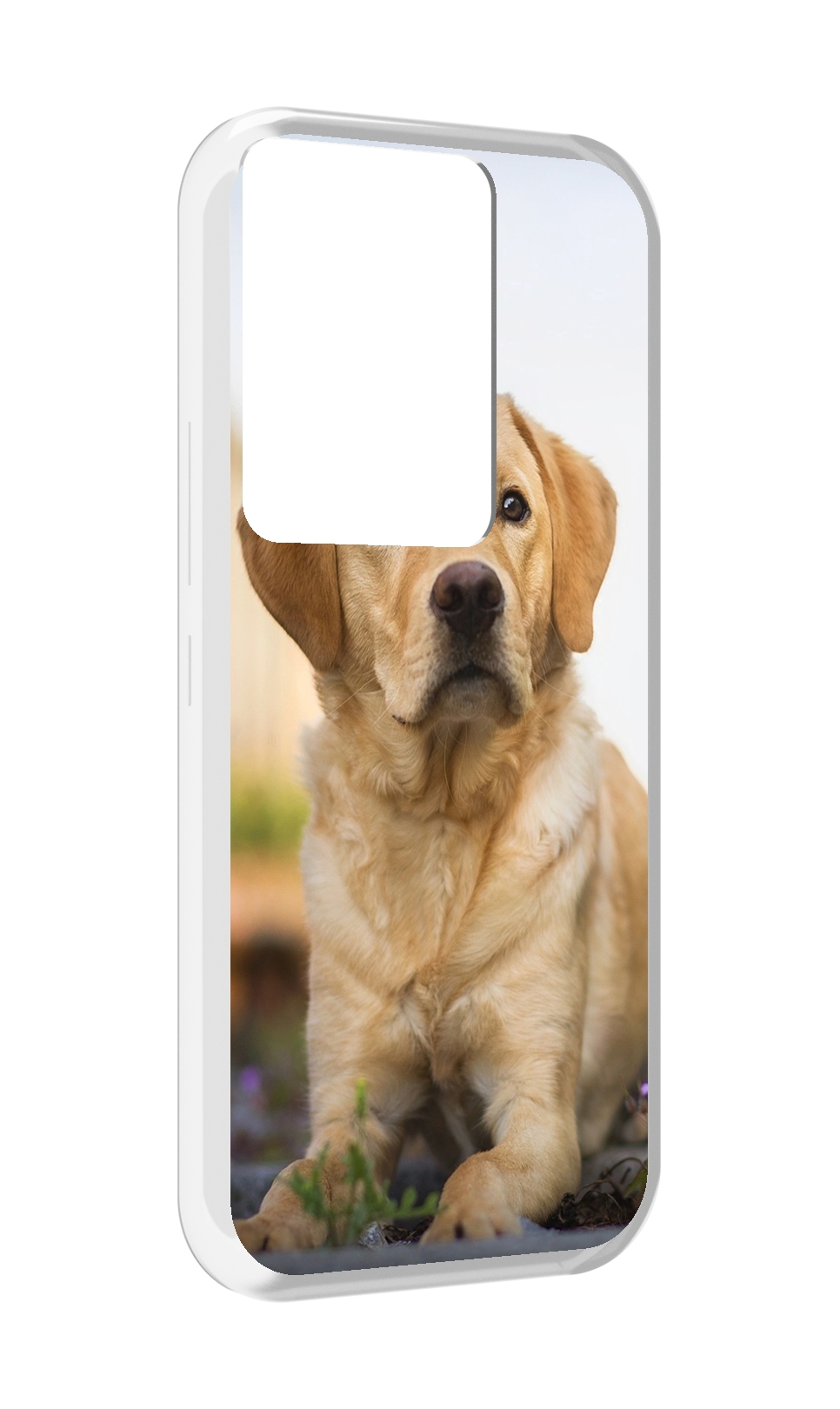 

Чехол MyPads лабрадор ретривер для Itel Vision 3 Plus / Itel P38 Pro, Прозрачный, Tocco