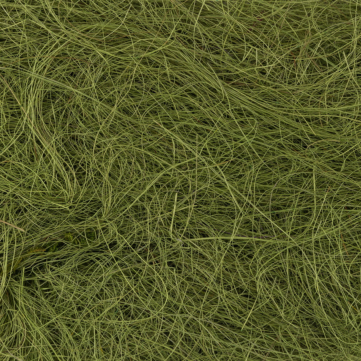 фото Флористика сизалевое волокно 20 г цв. т. зеленый bhg-20-т. зеленый, от blumentag
