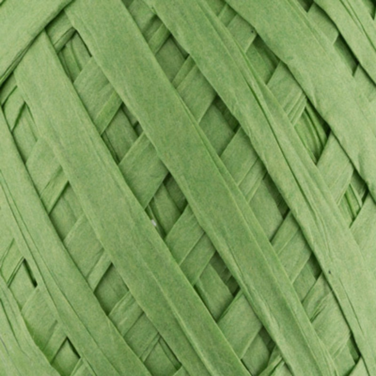 Флористика Рафия бумажная 20.5 г 30 м, цвет 05 зеленый PARF-8-05,  от