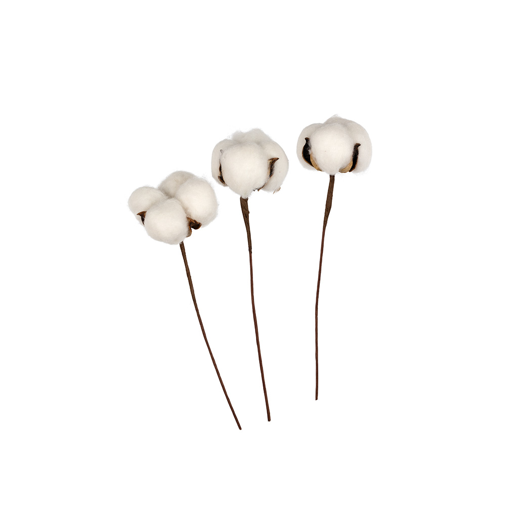 

Флористика Декоративные элементы веточка хлопка 3 шт. CTW-01, 20 см от