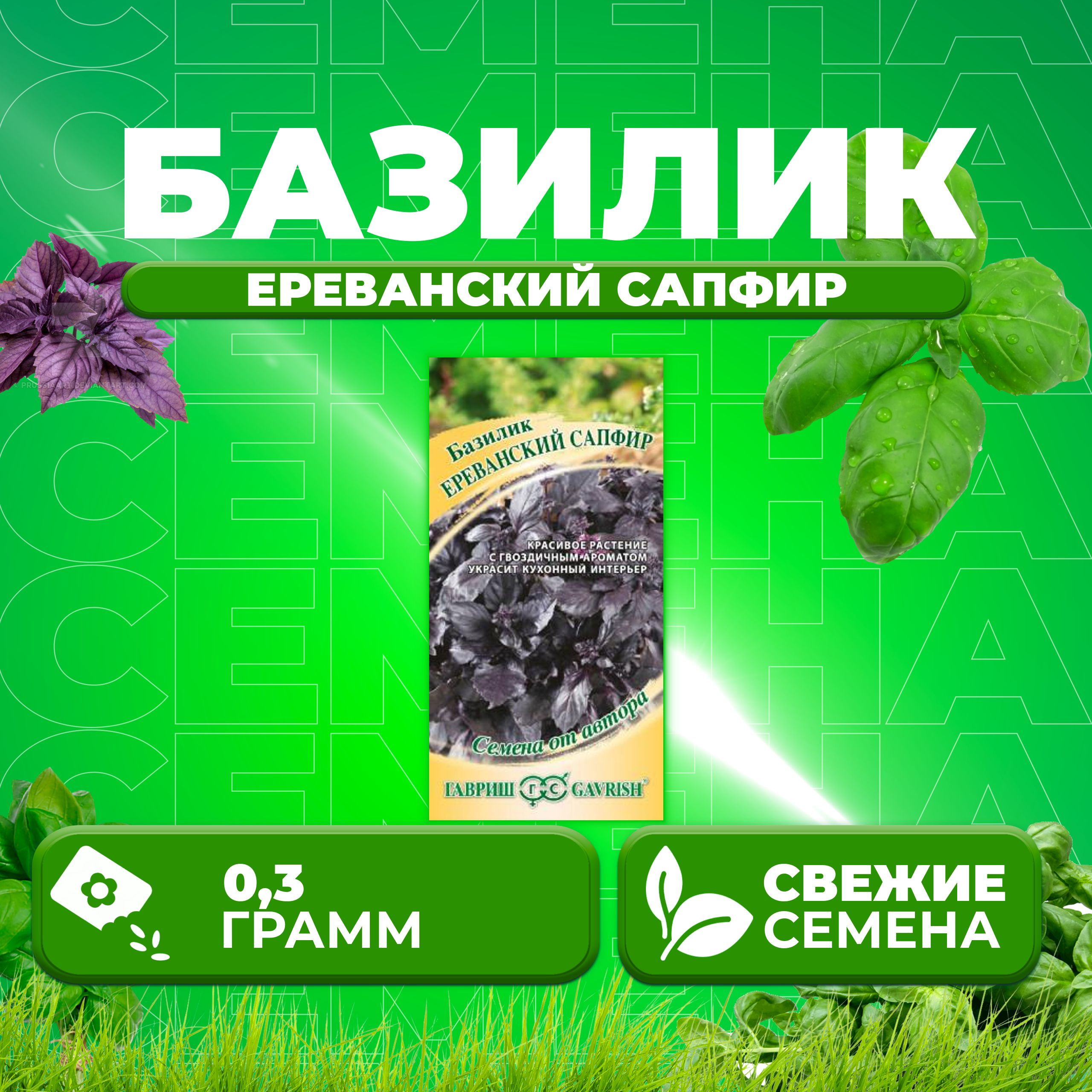 

Семена Базилик Ереванский сапфир, 0,3г, Гавриш, от автора 1 уп