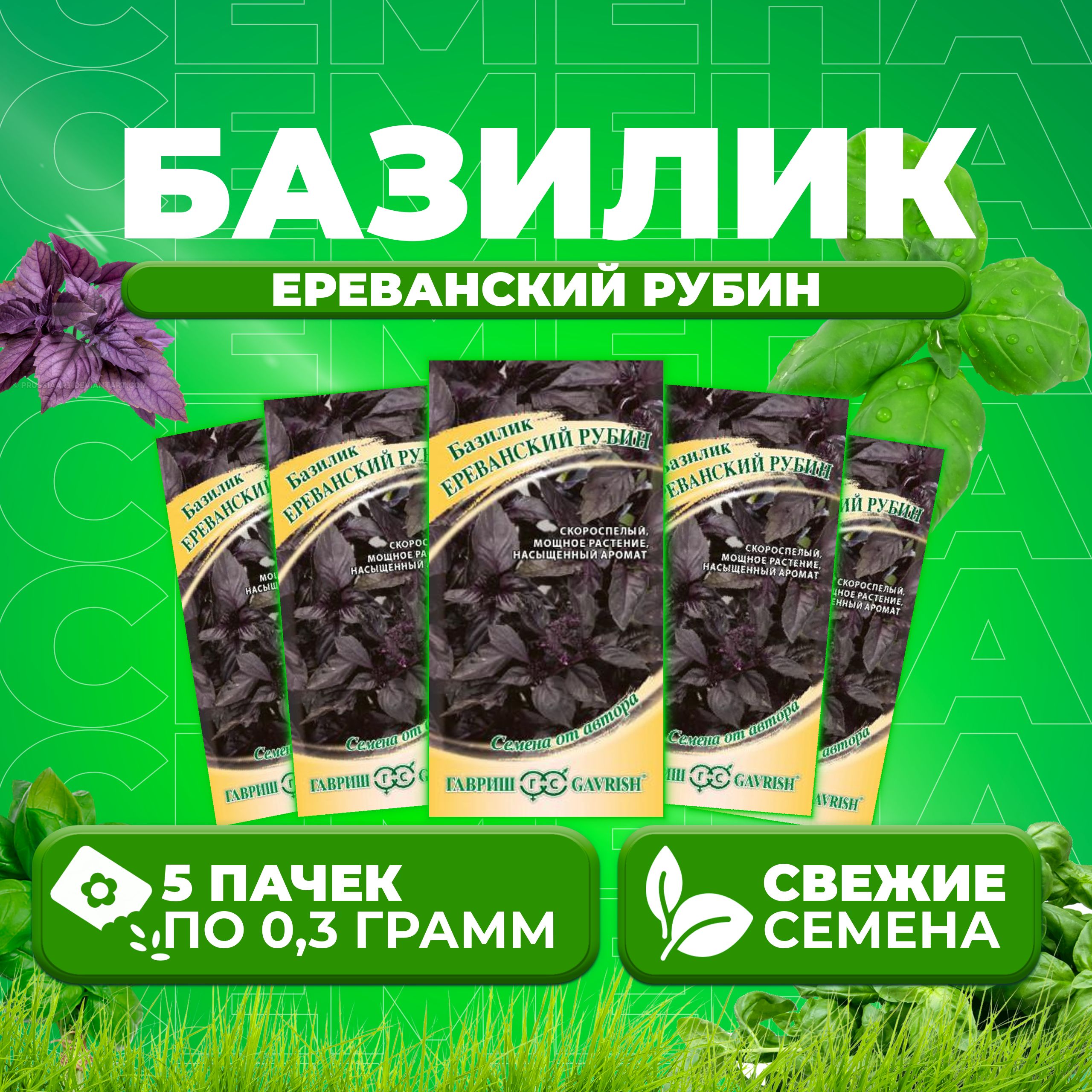 

Семена Базилик Ереванский рубин, 0,3г, Гавриш, от автора 5 уп