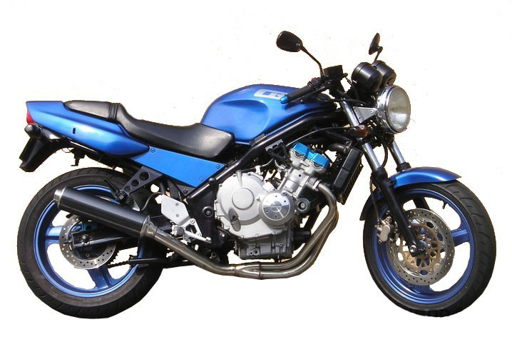 CRAZY IRON CRAZY IRON Слайдеры для Honda CB-1 1989-1991 4934₽