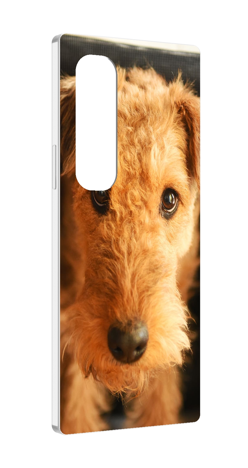 

Чехол MyPads эрдельтерьер для Samsung Galaxy Z Fold 4 (SM-F936), Прозрачный, Tocco