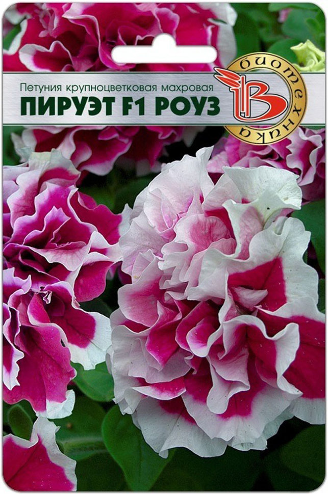 

Семена Биотехника 39040-Биотех Петуния Пируэт F1 Роуз (махровая), 10 шт 0,01г