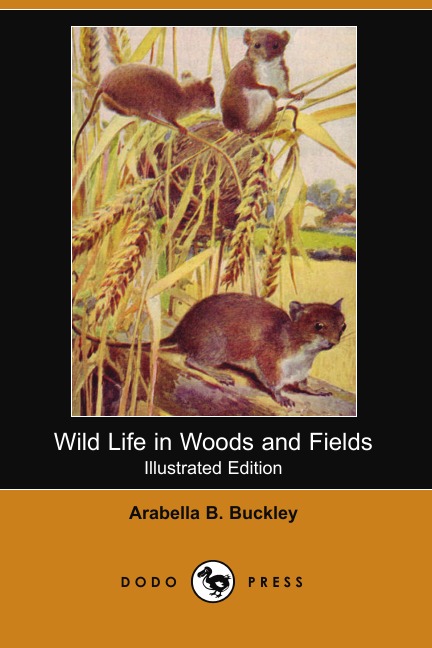 

Wild Life in Woods and Fields (Illustrated Edition) (Dodo Press)