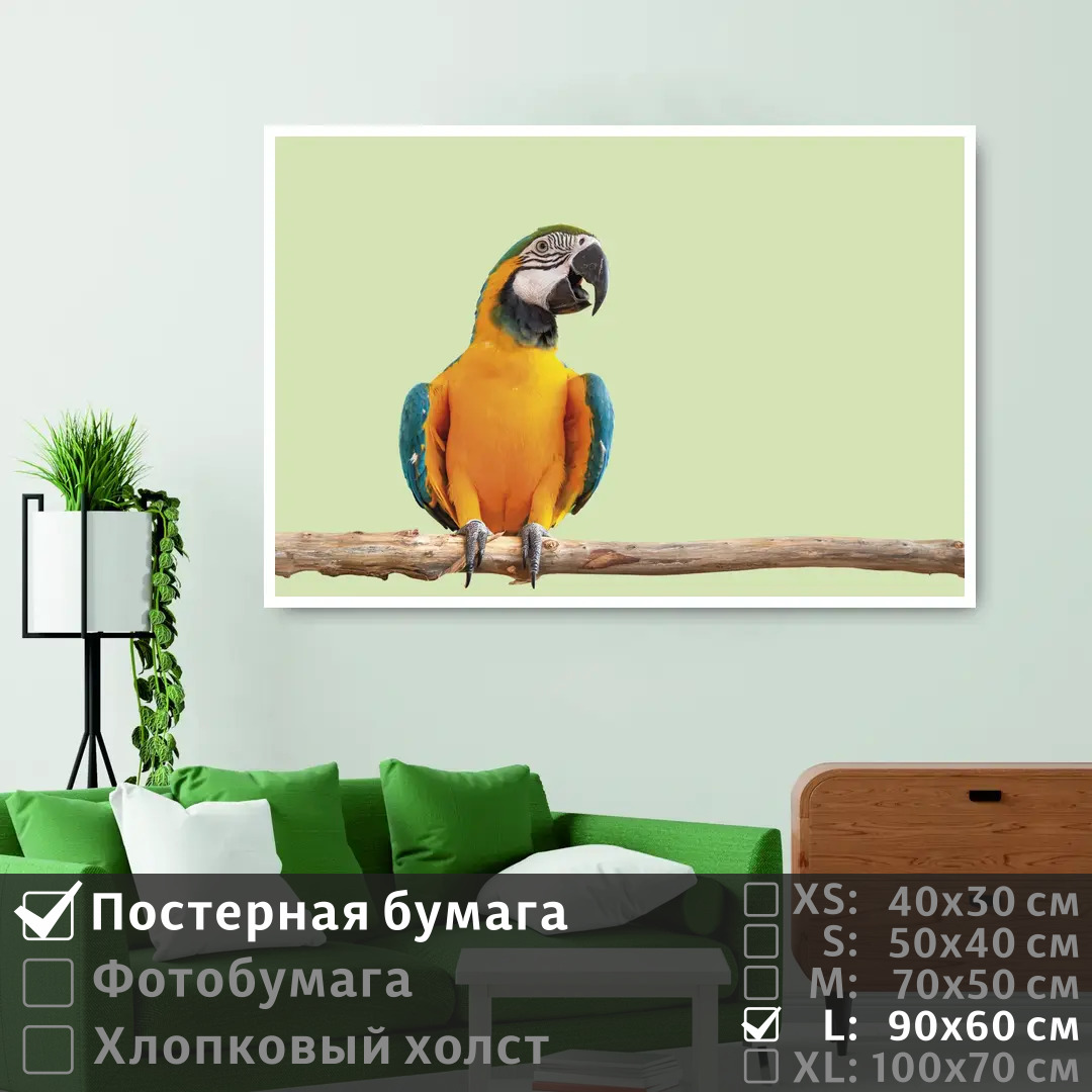 

Постер на стену ПолиЦентр Яркий попугай ара на ветке 90х60 см, ЯркийПопугайАраНаВетке