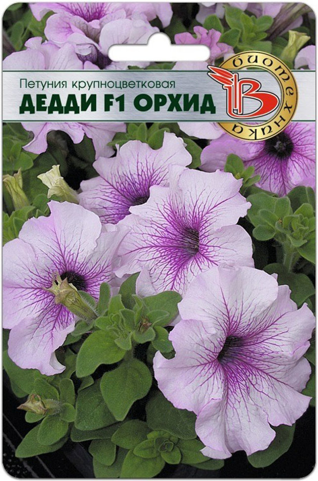 

Семена Биотехника 38455-Биотех Петуния Дедди F1 Орхид 0,01г